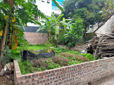 Bán đất kim quan, yên viên, oto vào rộng, ngõ nông gần chợ, 95m, mặt tiền: 5m, 4 tỷ 5 1