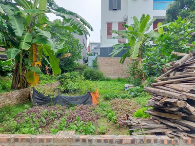 Bán đất kim quan, yên viên, oto vào rộng, ngõ nông gần chợ, 95m, mặt tiền: 5m, 4 tỷ 5 3