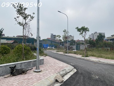 Bán đất đấu giá ngũ hiệp, thanh trì ô tô vào tận đất giá đầu tư giá 3.x tỷ 0