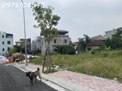 Bán đất đấu giá ngũ hiệp, thanh trì ô tô vào tận đất giá đầu tư giá 3.x tỷ 1
