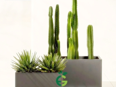 Châu xi măng nhẹ hình chữ nhật 3