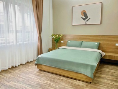 Biệt thự phố vĩnh phúc 155m 4 tầng mt8m giá chỉ 35 tỷ 0