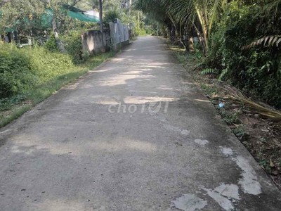 Chính chủ tôi cần bán gấp lô đất sạch đẹp xã qưới sơn, huyện châu thành, bến tre 2