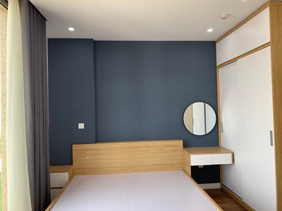 Cần Cho Thuê Căn Hộ D.eldorado 659A Lạc Long Quân 1pn đầy đủ nội thất 0