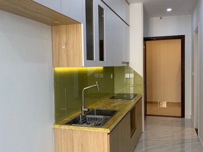 Cần Cho Thuê Căn Hộ D.eldorado 659A Lạc Long Quân 1pn đầy đủ nội thất 1