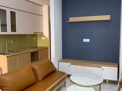 Cần Cho Thuê Căn Hộ D.eldorado 659A Lạc Long Quân 1pn đầy đủ nội thất 2