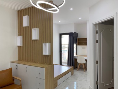 Cần Cho Thuê Căn Hộ D.eldorado 659A Lạc Long Quân 1pn đầy đủ nội thất 3