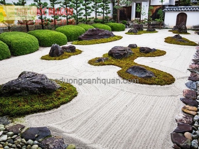 Thi công cảnh quan vườn Nhật và hồ cá Koi ở Đồng Nai, TPHCM 0