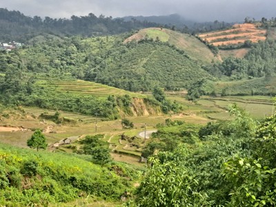 Cho Thuê Văn phòng / Kinh doanh 1268