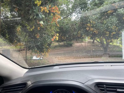 Giảm giá sâu lô đất đẹp diện tích 500 m2 tại tp. hcm 2