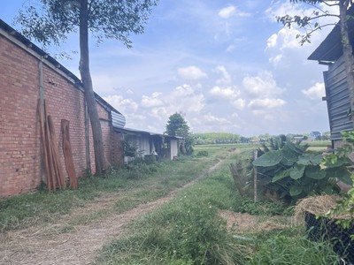 Giảm giá sâu lô đất đẹp diện tích 500 m2 tại tp. hcm 0