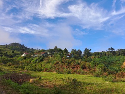 Cho Thuê Văn phòng / Kinh doanh 1763