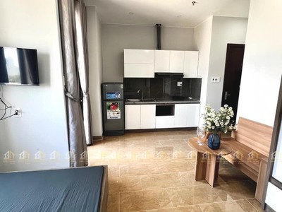 Cần cho thuê căn hộ sát đường minh mạng giao nhau với võ chí công nối dài , hòa quý, đà nẵng 4