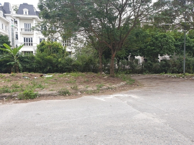 Cienco 5: 73m đất, mặt tiền 5m, chỉ 3.95 tỷ.0916731784 2