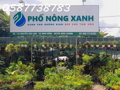 Qua năm về quê đầu tư, chính chủ cần sang nhượng cửa hàng bán cây kiểng, rau giống tại cơ sở 2. 1