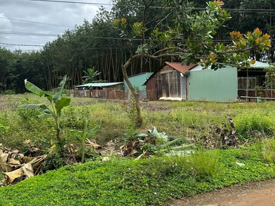 Nợ ngân hàng, cần bán gấp lô đất thổ cư ngang 10m giá 295 triệu 2