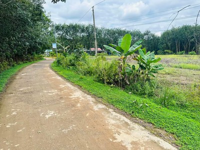 Nợ ngân hàng, cần bán gấp lô đất thổ cư ngang 10m giá 295 triệu 1