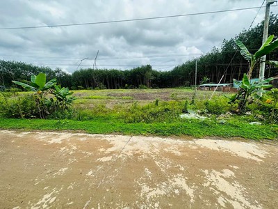 Nợ ngân hàng, cần bán gấp lô đất thổ cư ngang 10m giá 295 triệu 0