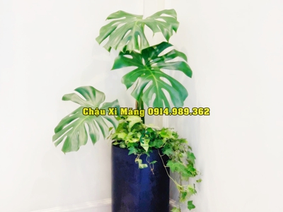 Chậu xi măng nhẹ hình đầu đạn 3