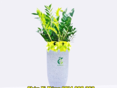 Chậu xi măng nhẹ hình đầu đạn 4