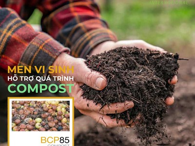 BIONETIX BCP85 Giải pháp vi sinh ủ phân Compost hiệu quả 0