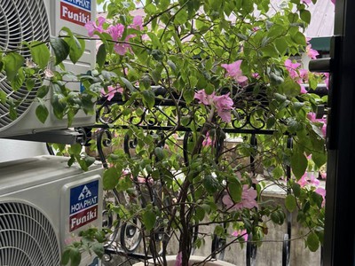 A 19.5 tỷ tòa nhà 9t 100m2 phố lê đức thọ,ntl,hn,dt 2.2tỷ năm,30p kk,thang máy,mt 1