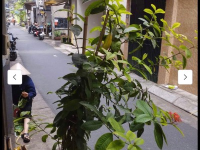 Chính chủ bán nhà mặt phố vân hồ 3 1