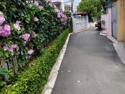 Hàng hót, đất thuỵ phương gần ô tô, thông số đẹp 32m2, giá chỉ 2.07 tỷ 2
