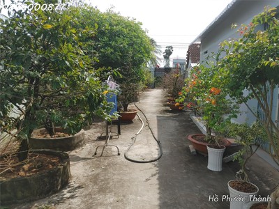 Bán nhà phố xã hòa thành lai vung. mt đường nhựa 10m cách chợ tân thành 200m view sông 4