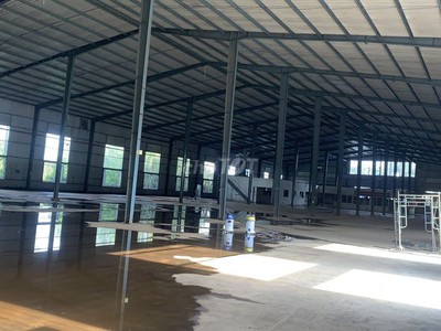 Chính chủ cho thuê nhà xưởng 79 nguyễn văn cừ, p. chánh mỹ, thủ dầu một, bình dương. 3