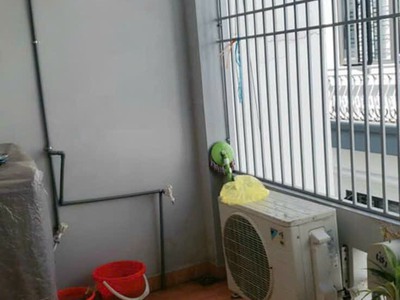 Bán nhà 1,750 tỷ tại ngõ 389 Đằng Hải, Hải An 2