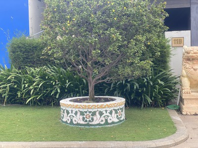 Cơ sở chậu hoa Thế Sơn - chậu hoa dán sành sứ - chậu khảm sành - cẩn miễng 8