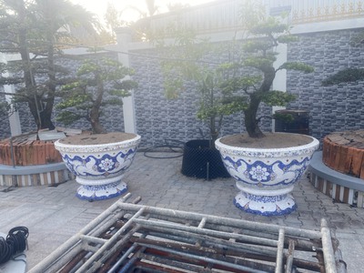 Cơ sở chậu hoa Thế Sơn - chậu hoa dán sành sứ - chậu khảm sành - cẩn miễng 13