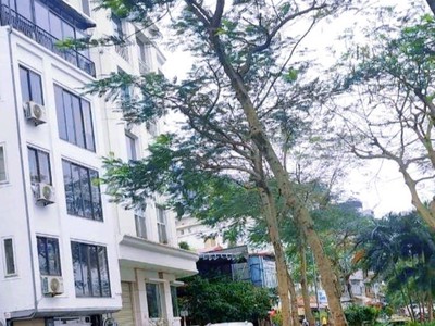 Cho Thuê Xe 7 Chỗ Giá Rẻ 450