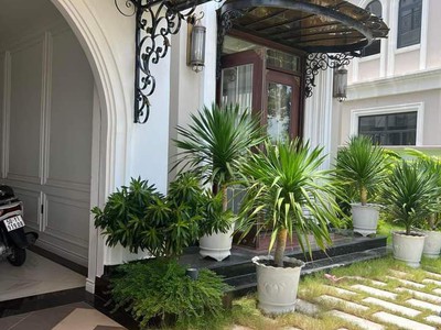 Cho Thuê Xe 7 Chỗ Giá Rẻ 192