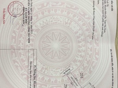 Cho Thuê Xe 7 Chỗ Giá Rẻ 153