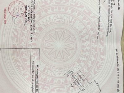 Cho Thuê Xe 7 Chỗ Giá Rẻ 155