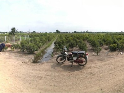 Cho Thuê Xe 7 Chỗ Giá Rẻ 60