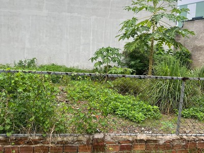 Cho Thuê Xe 7 Chỗ Giá Rẻ 735