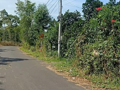 Cần bán nhanh căn nhà đất thổ cư mặt tiền nhựa tại bình ba châu đức. 0