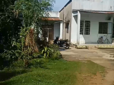 Cần bán nhanh căn nhà đất thổ cư mặt tiền nhựa tại bình ba châu đức. 2