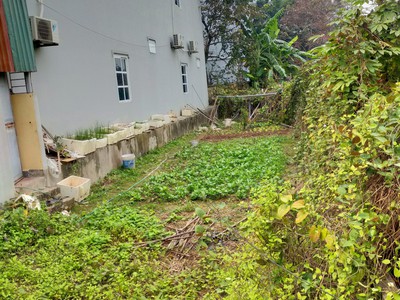 Mặt ngõ thông, ô tô tránh, 7 chỗ vào nhà, thuỵ phương 55m2, giá 2,9 tỷ 0