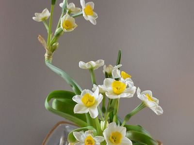 Bán hoa Thủy Tiên gọt trổ đẹp nở hoa đẹp hương thơm thanh khiết , nghệ thuật chào đón Tết 2024 5