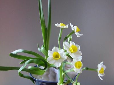 Bán hoa Thủy Tiên gọt trổ đẹp nở hoa đẹp hương thơm thanh khiết , nghệ thuật chào đón Tết 2024 14