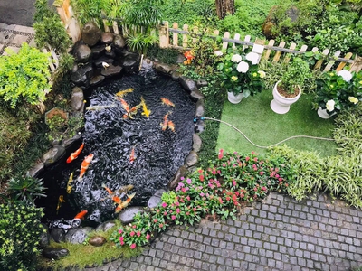 Bán biệt thự nghỉ dưỡng đẳng cấp vườn mai - ecoparrk, văn giang, 324m2, mt18m, giá 26 tỷ 0