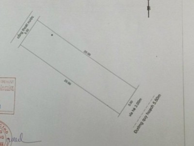 Quần áo trẻ em xả kho 1590