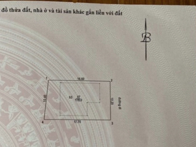 Quần áo trẻ em xả kho 4102