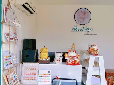 Chính chủ sang tiệm spa đã được decor sẵn địa chỉ: 5k đường nguyễn du, phường bình hoà, thành phố 0