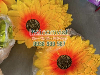 Cho thuê trang phục biểu diễn tân phú tphcm 17