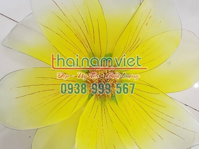 Cho thuê trang phục biểu diễn tân phú tphcm 18